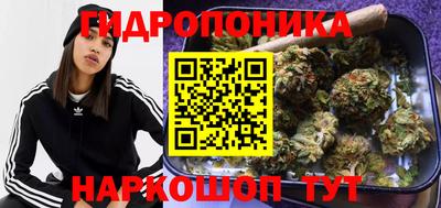 спиды Абакан