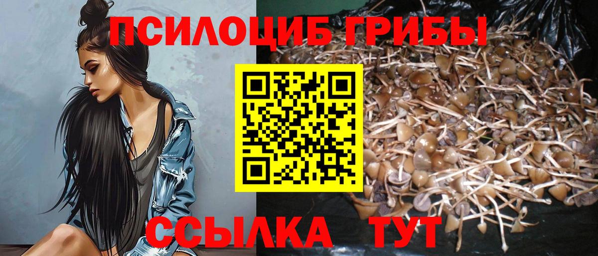 Псилоцибиновые грибы ЛСД  Вход с VPN  Псилоцибиновые грибы Cubensis  Амурск 