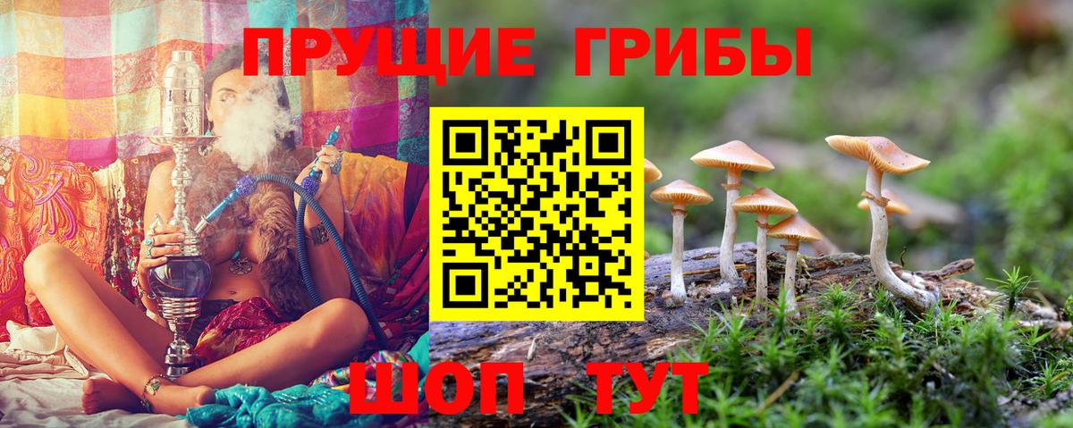 Галлюциногенные грибы GOLDEN TEACHER Амурск